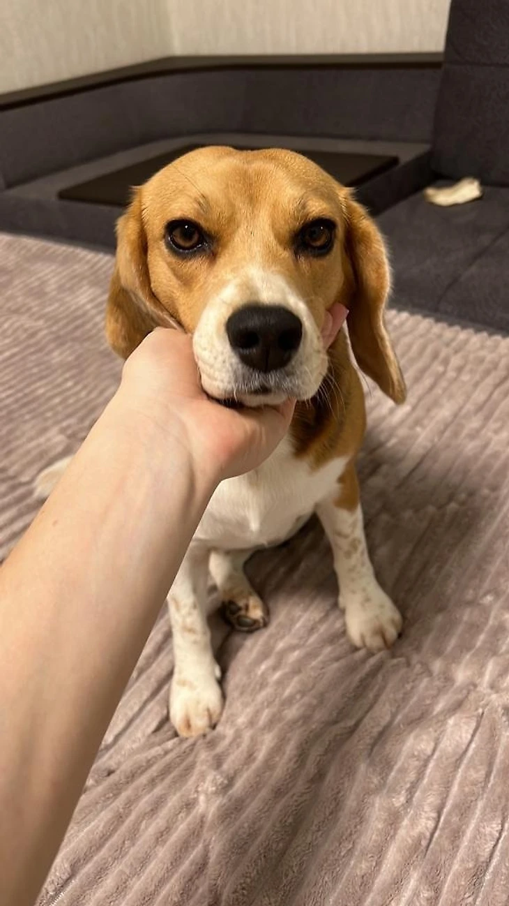 20 вопросов не о гандболе. Валерия Кирдяшева: "Собралась получать права — а паспорт съела собака", изображение №2