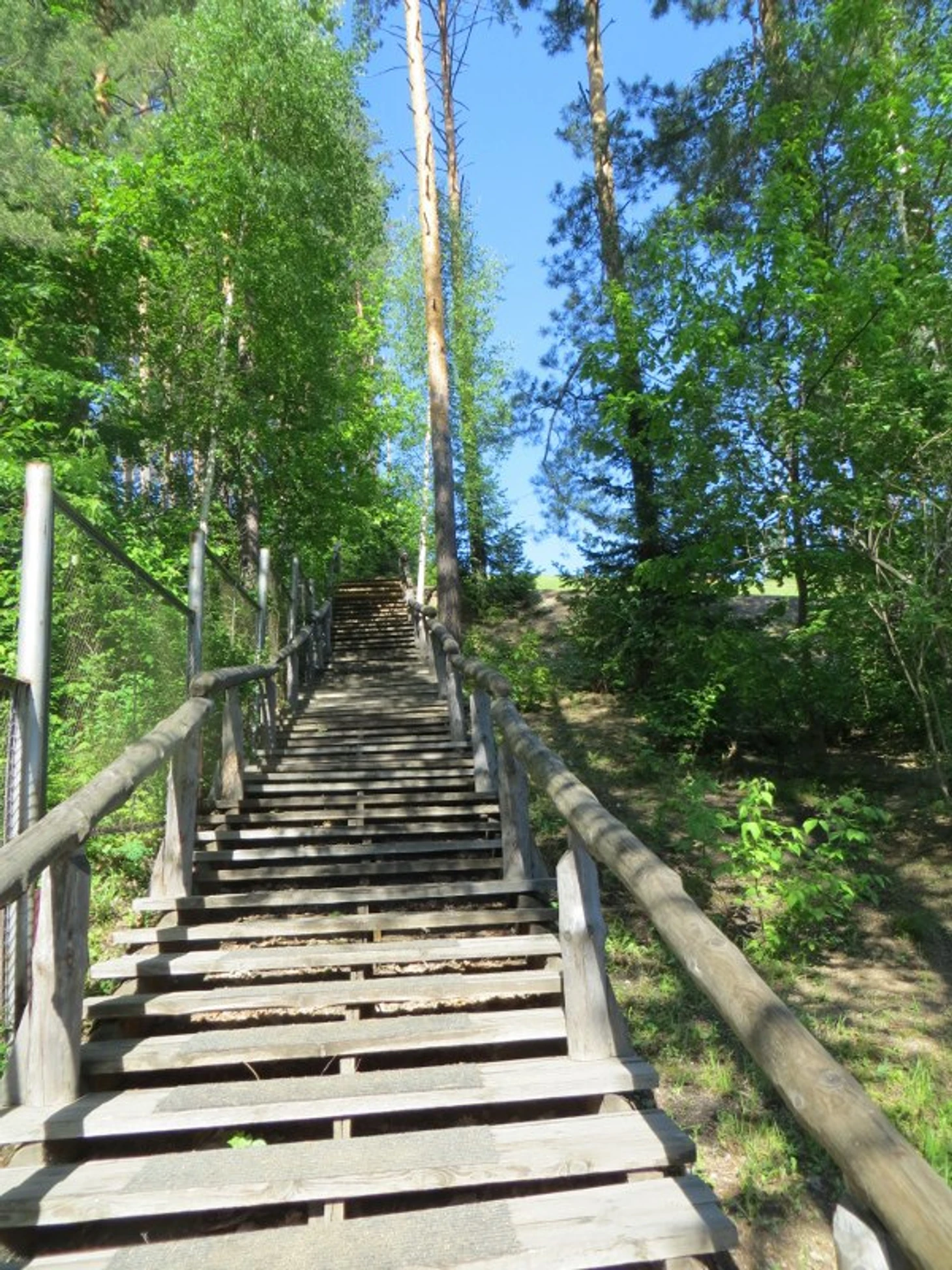белок