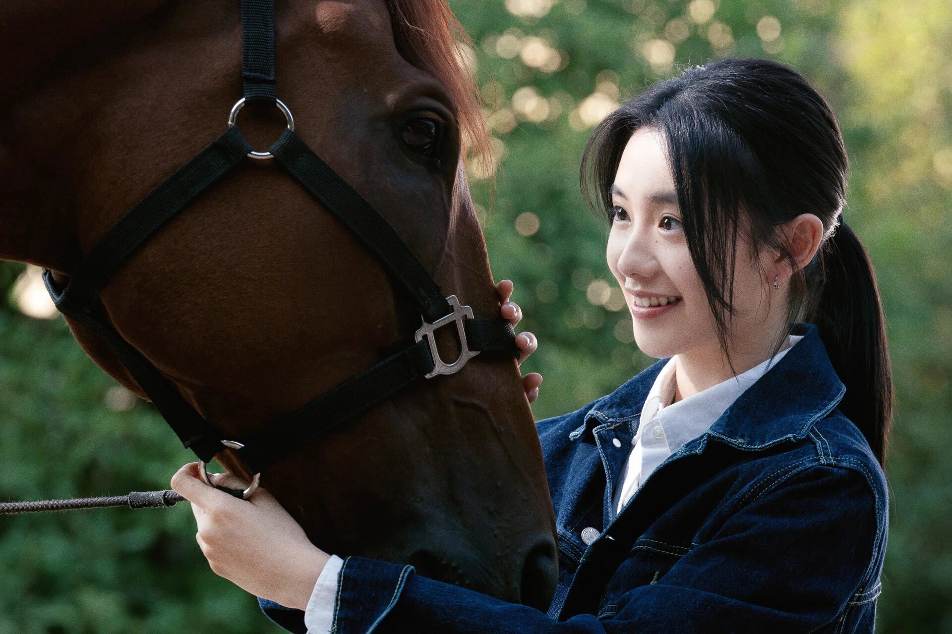 Обзор фильма Кунг-фу жеребец с Джеки Чаном, оценки, стоит ли смотреть стыдную драму, в которой Джеки учит дракам коня?