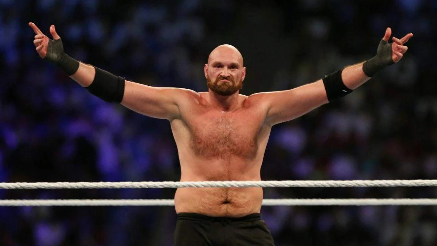 Картинки по запросу "фьюри рестлинг"