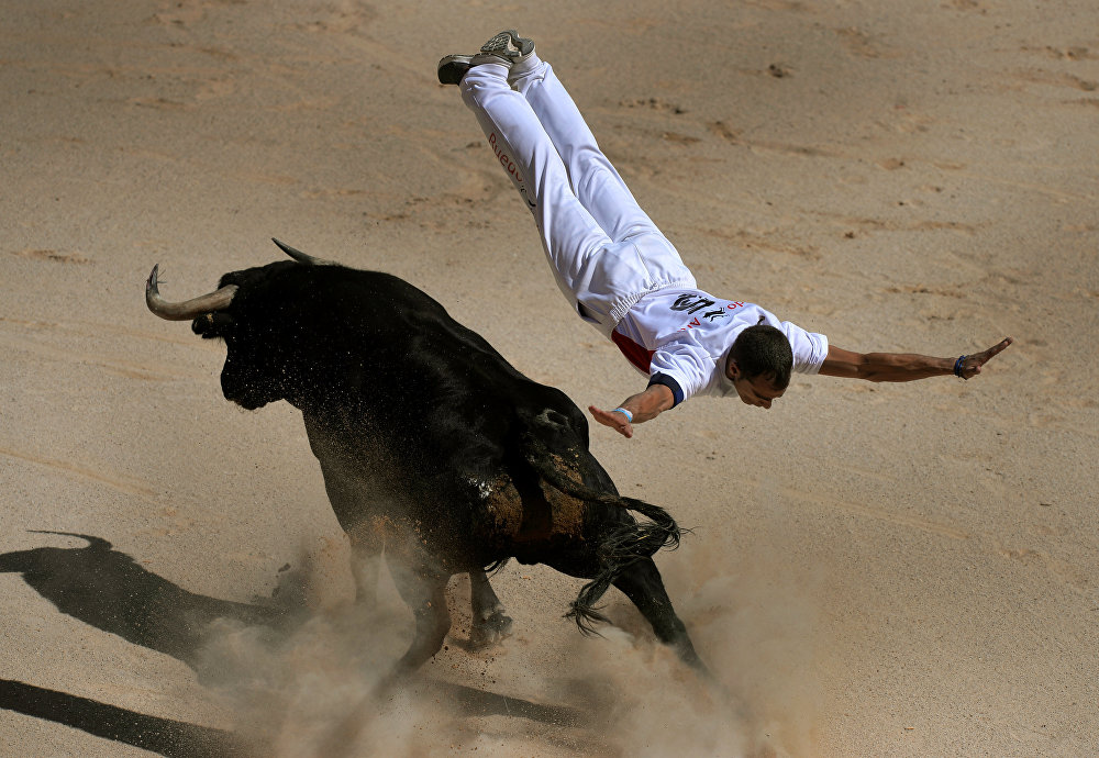 Краснодар - Химки