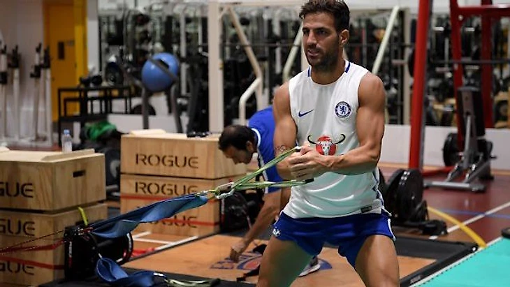 Сеск Фабрегас