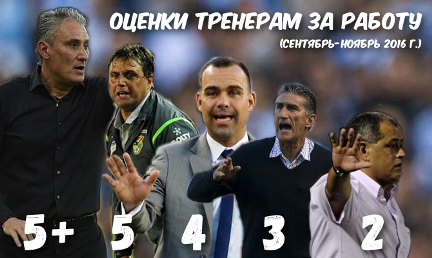 Оценки тренерам