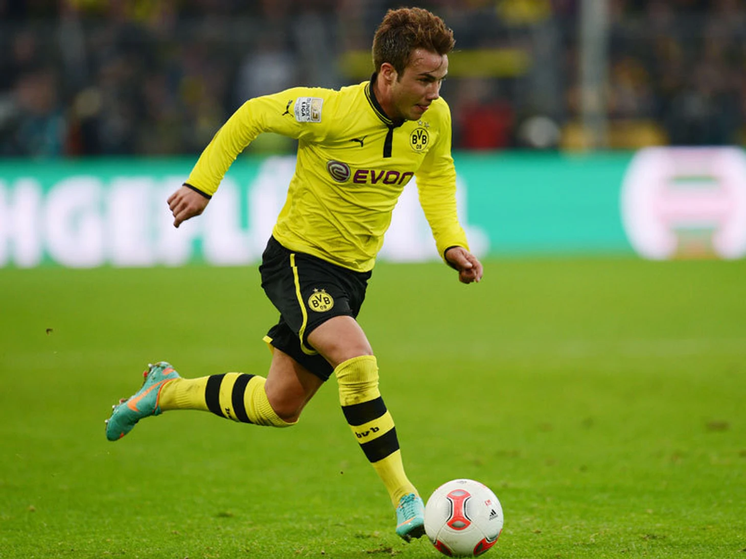 BVB
