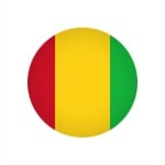 Сборная Гвинеи по футболу - статистика 2015