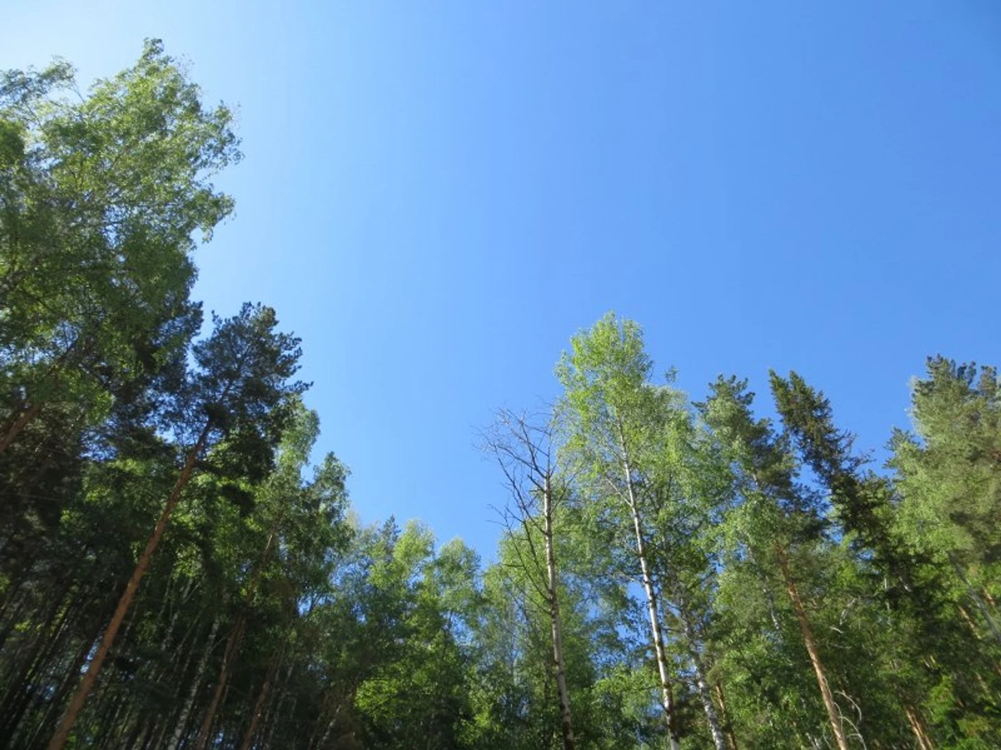 белок