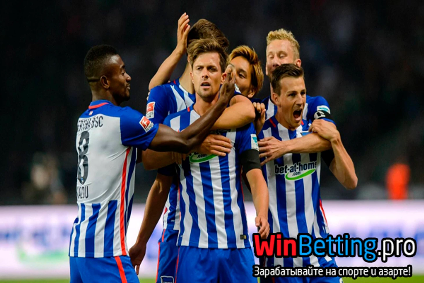 ставки, прогноз, бундеслига, герта