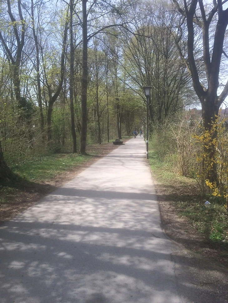 Дорога к Олимпийскому парку