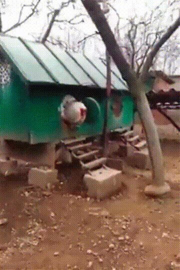 media