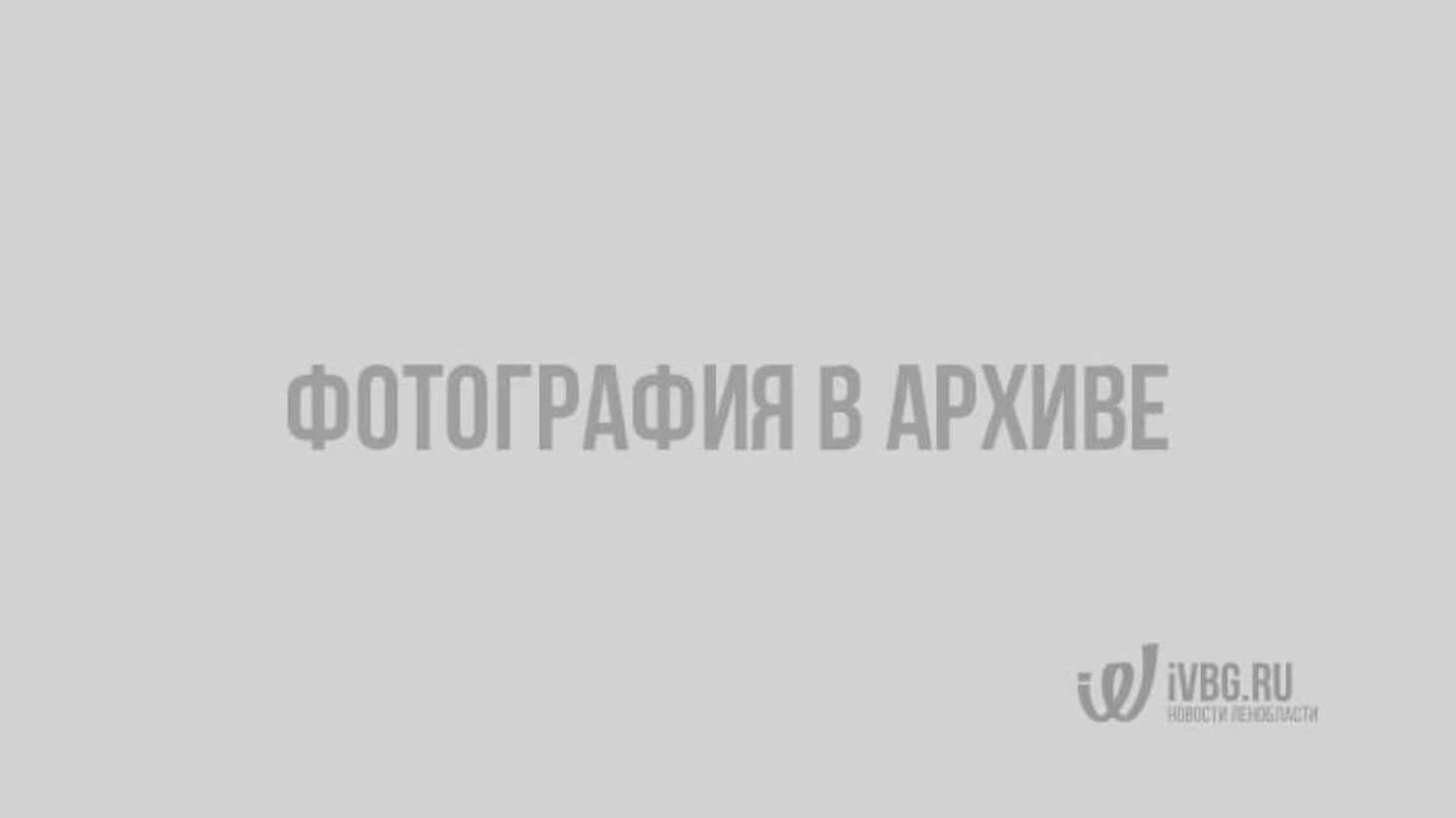 небольшой фотомонтаж