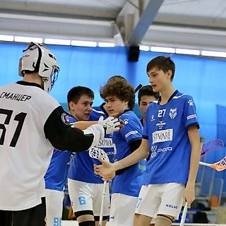 «Помор» - «Ирбис» 6:2