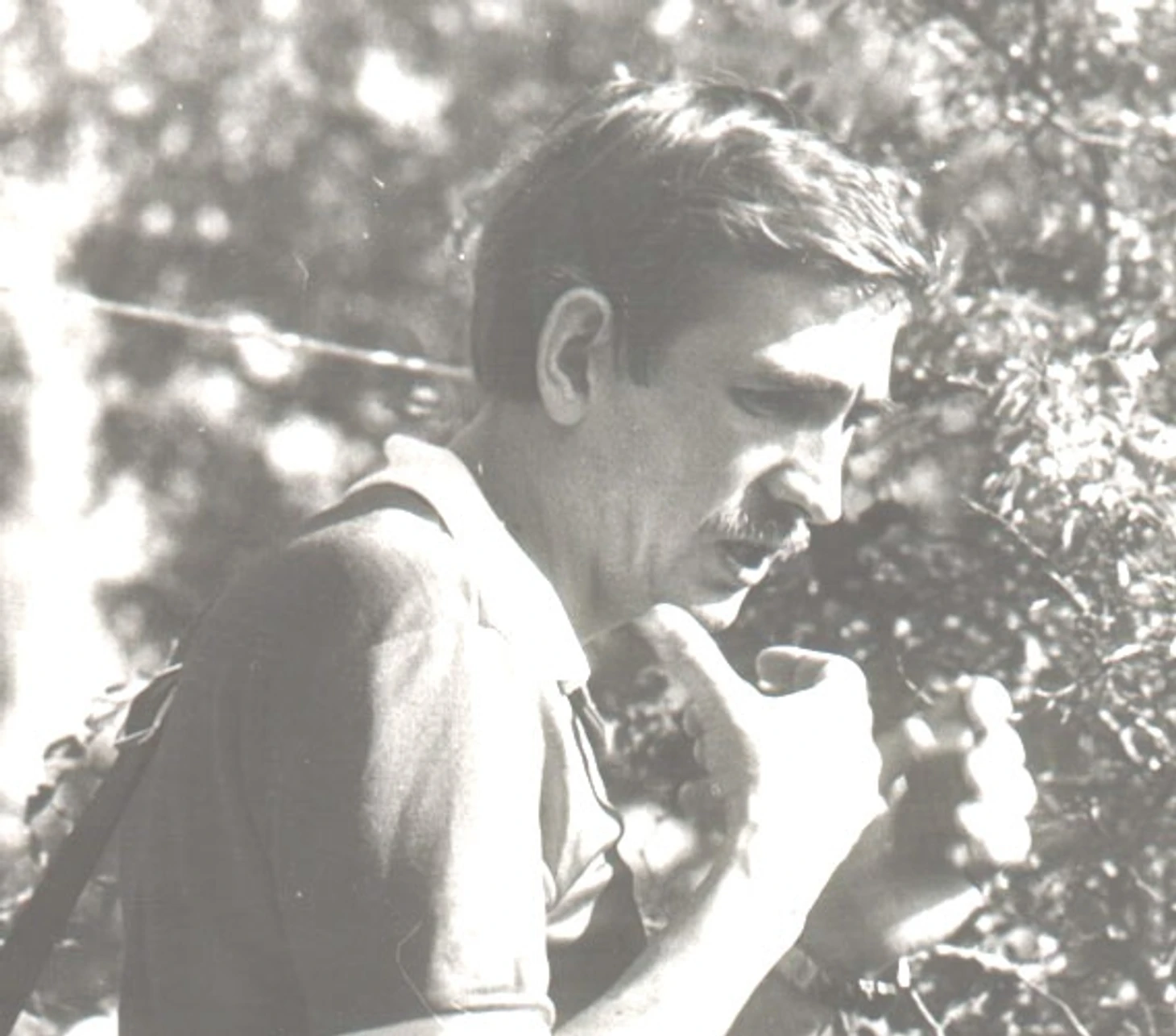 Юрий Машков