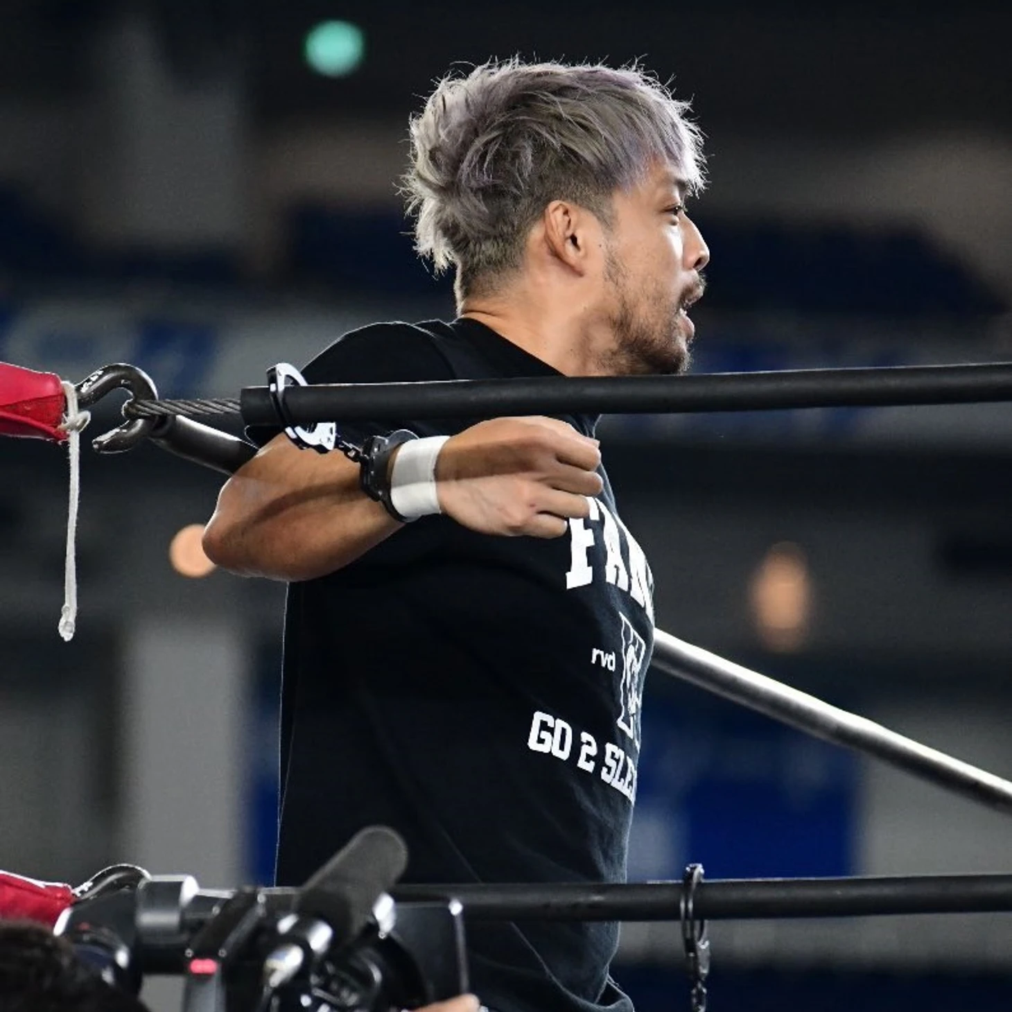 Обзор NJPW Wrestle Grand Slam in Tokyo Dome, изображение №9