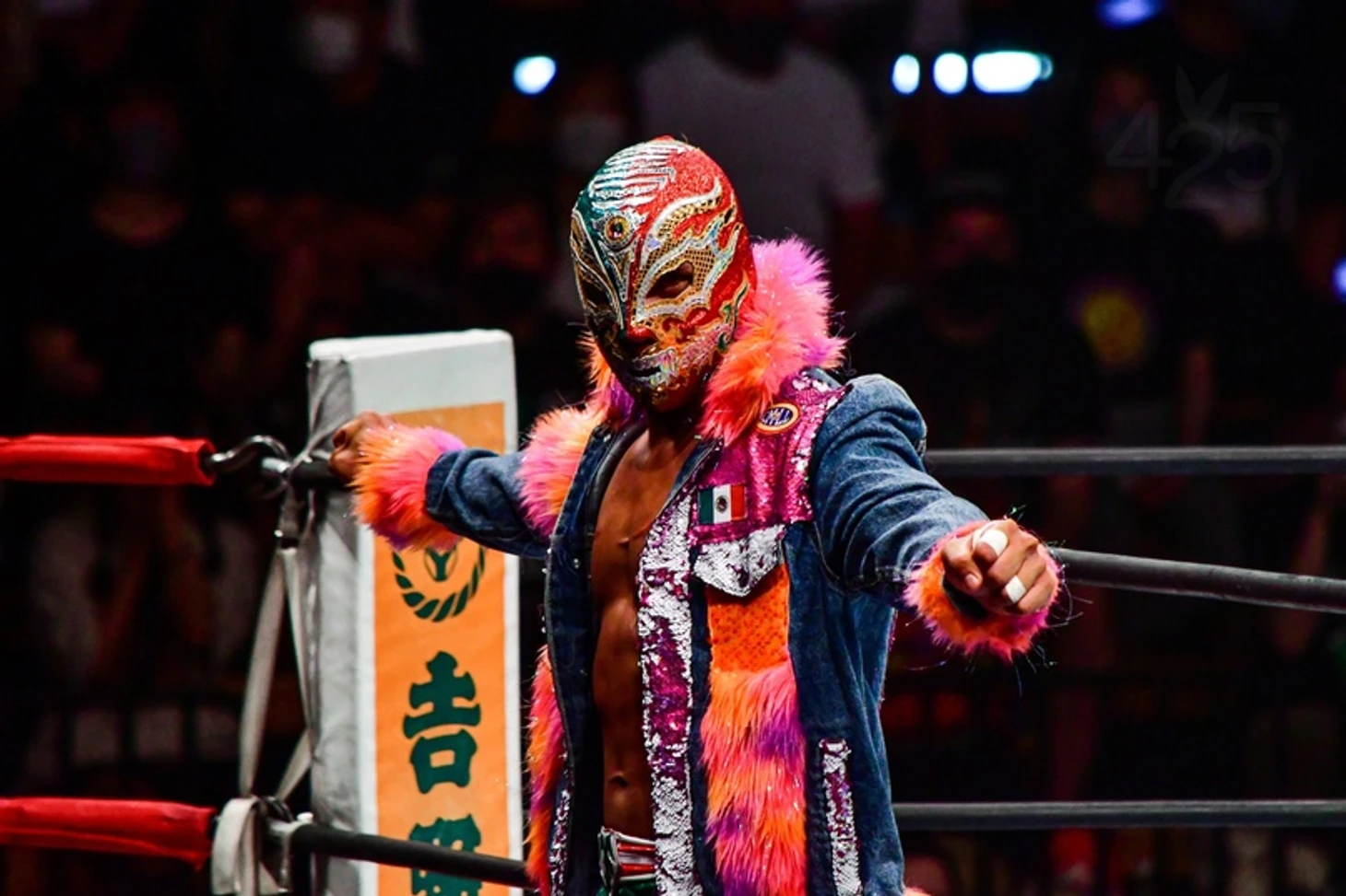 Обзор одиннадцатого дня NJPW Best of the Super Juniors 29, изображение №3