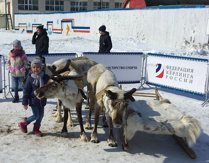 Олени и дети в Дудинке