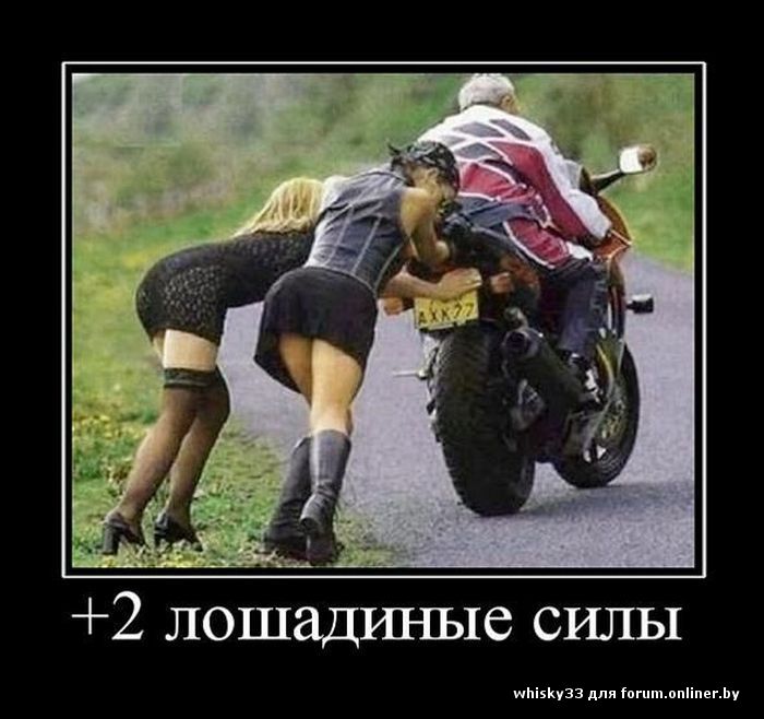 Ставки на спорт