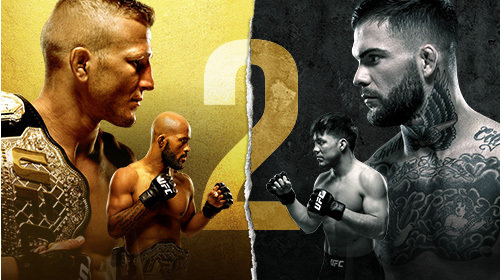 UFC 227: итоги