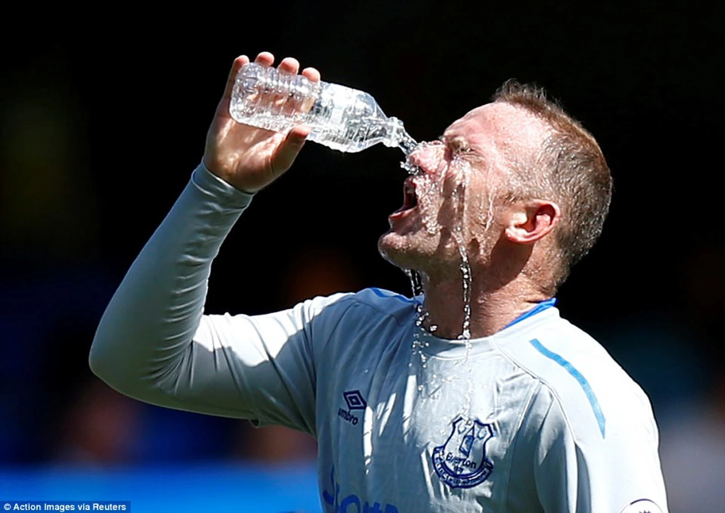 Rooney