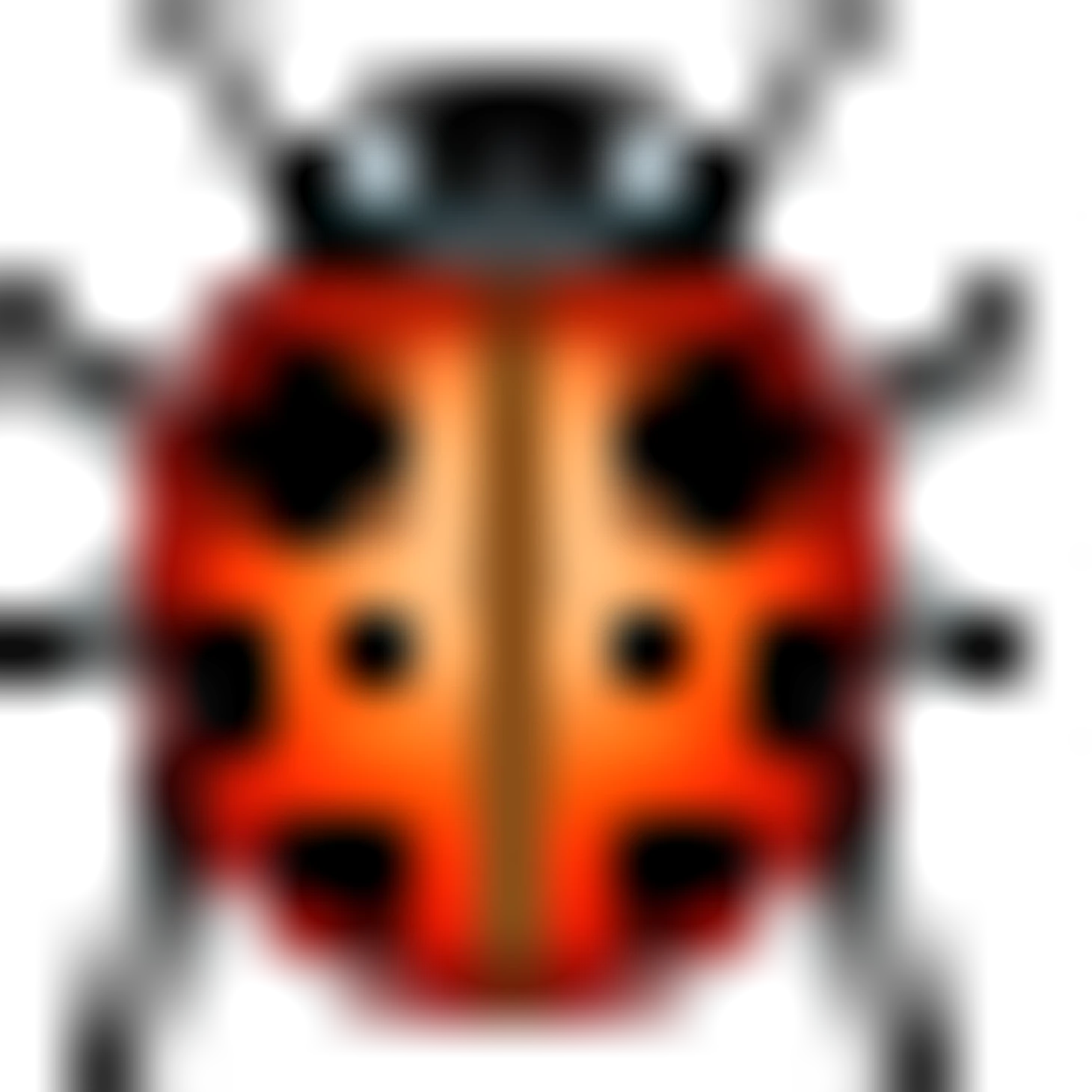 🐞