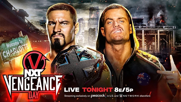 Обзор WWE NXT Vengeance Day 2023, изображение №6