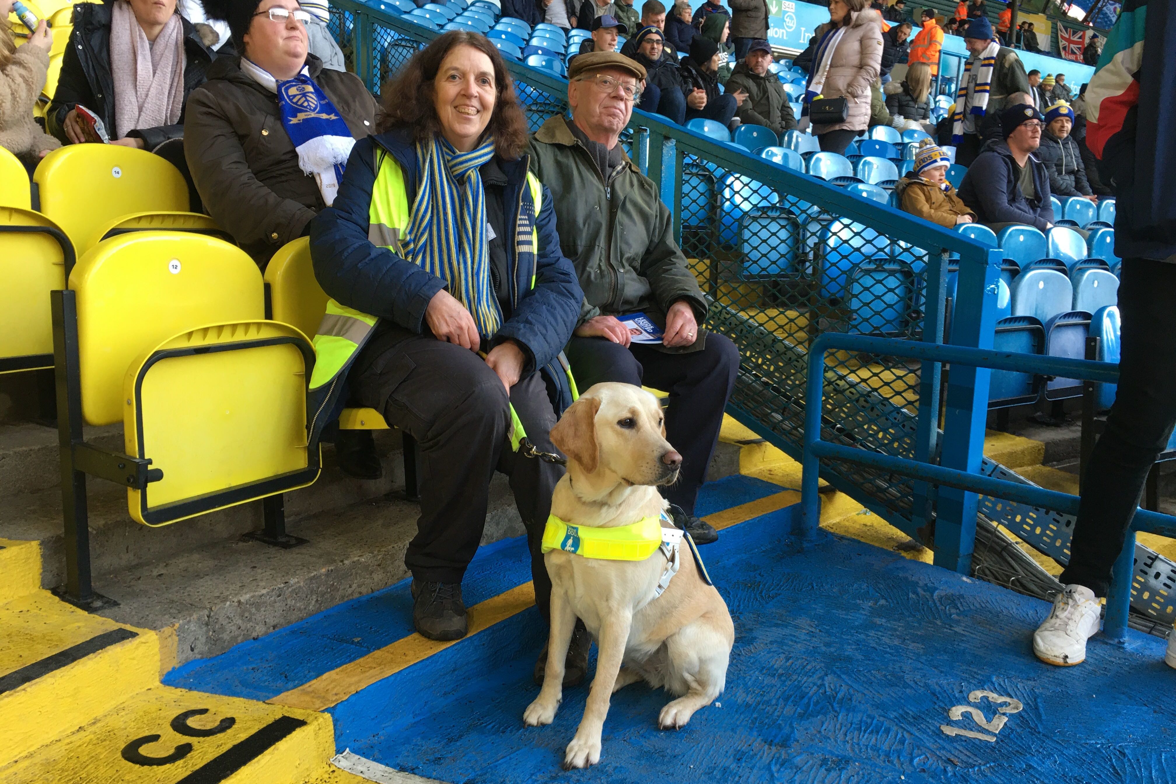 Две добрых истории о собаках-поводырях в английском футболе