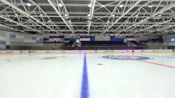 Девять новых ледовых арен в Подмосковье к 2019 году