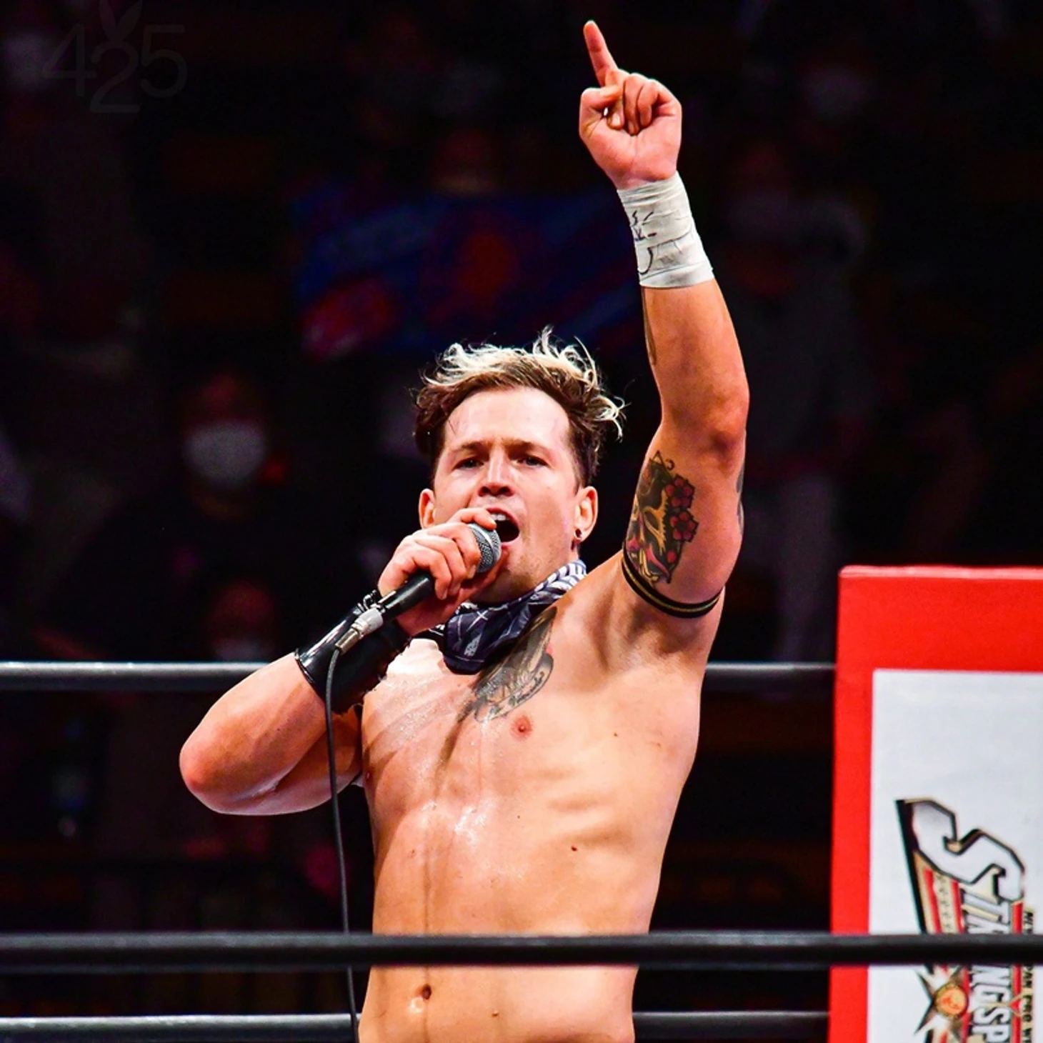 Обзор одиннадцатого дня NJPW Best of the Super Juniors 29, изображение №21