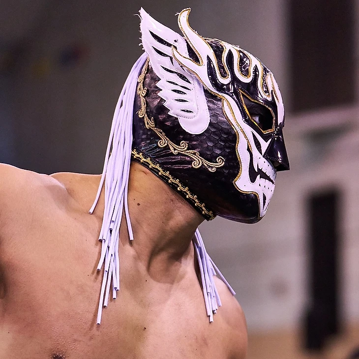 Обзор девятого дня NJPW Super Juniors Tag League 2022, изображение №2