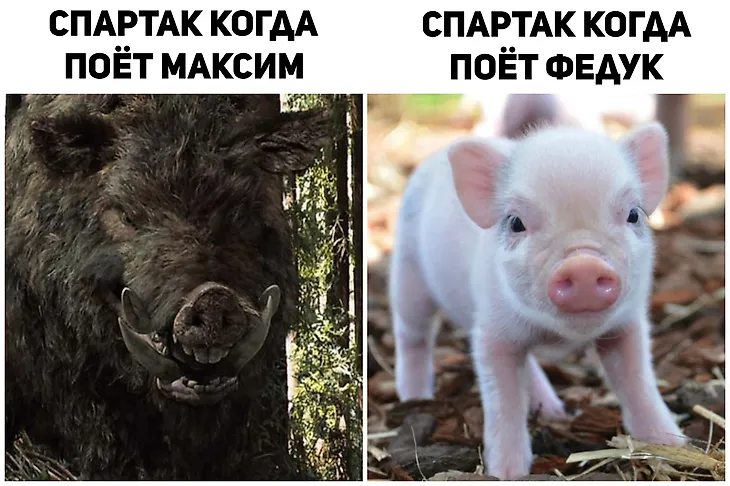 media