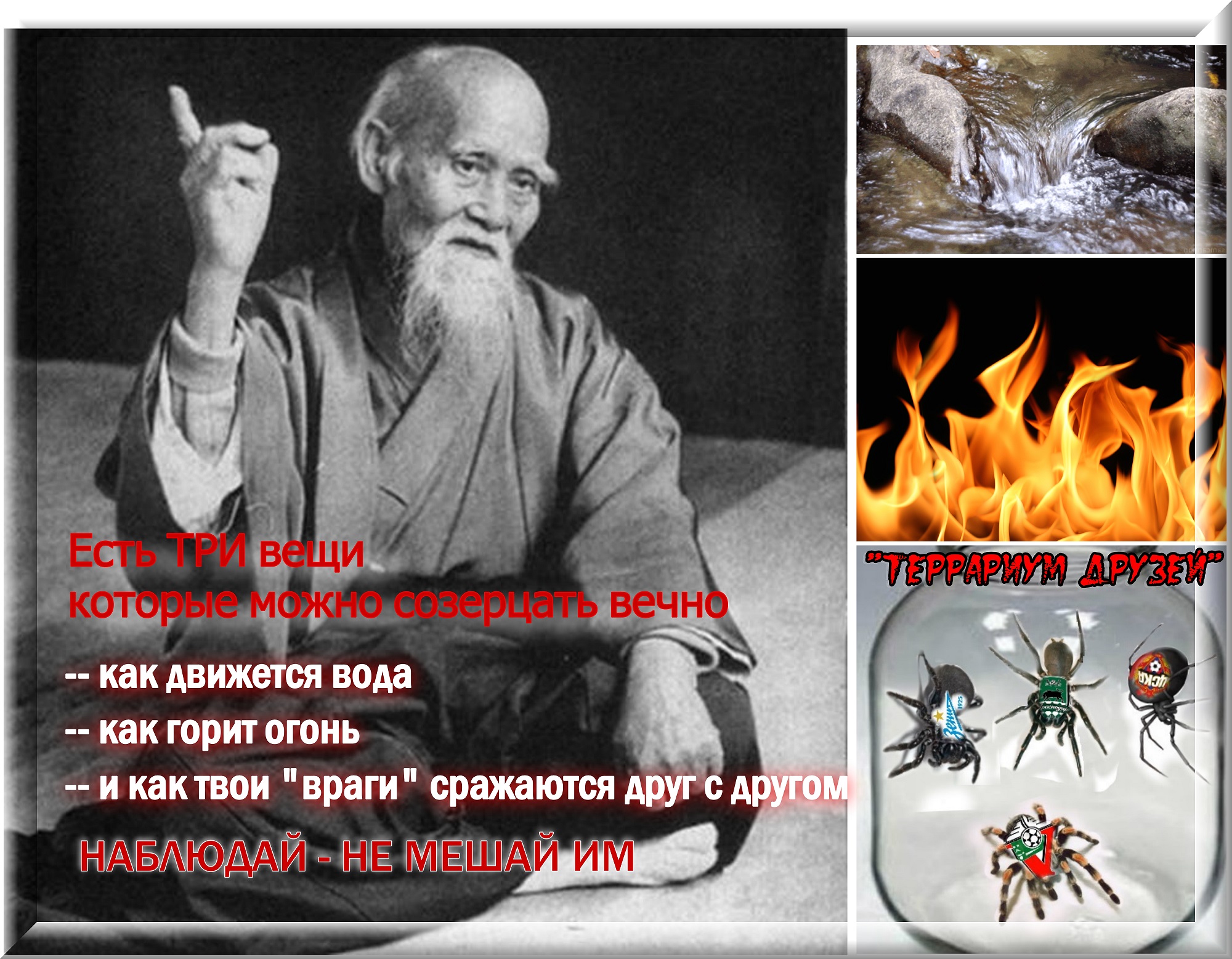 пауки