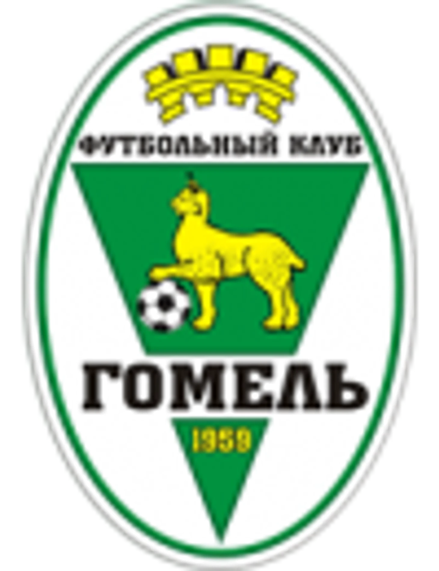 FK Gomel