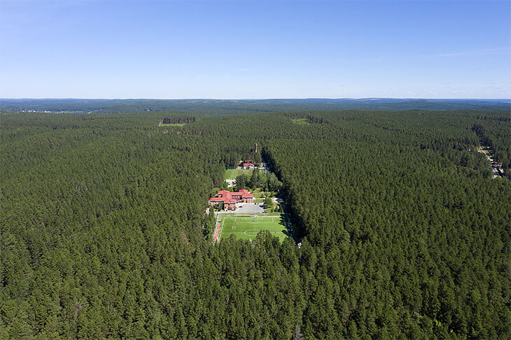 🌲 База «Урала» = красота. Только взгляните на этот живописнейший лес!