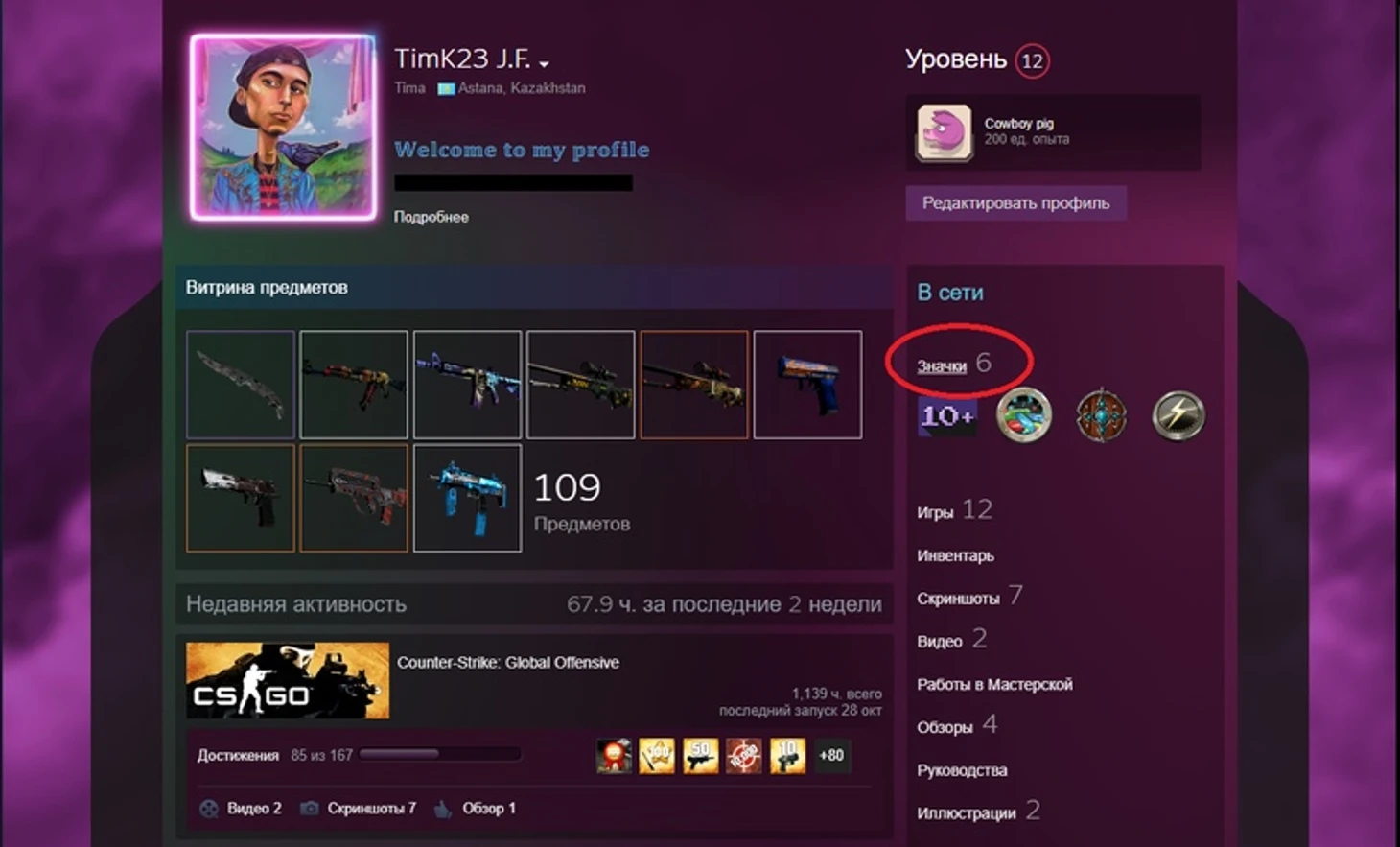 Сколько я потратил на CSGO?, изображение №1