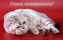 Ставки на спорт