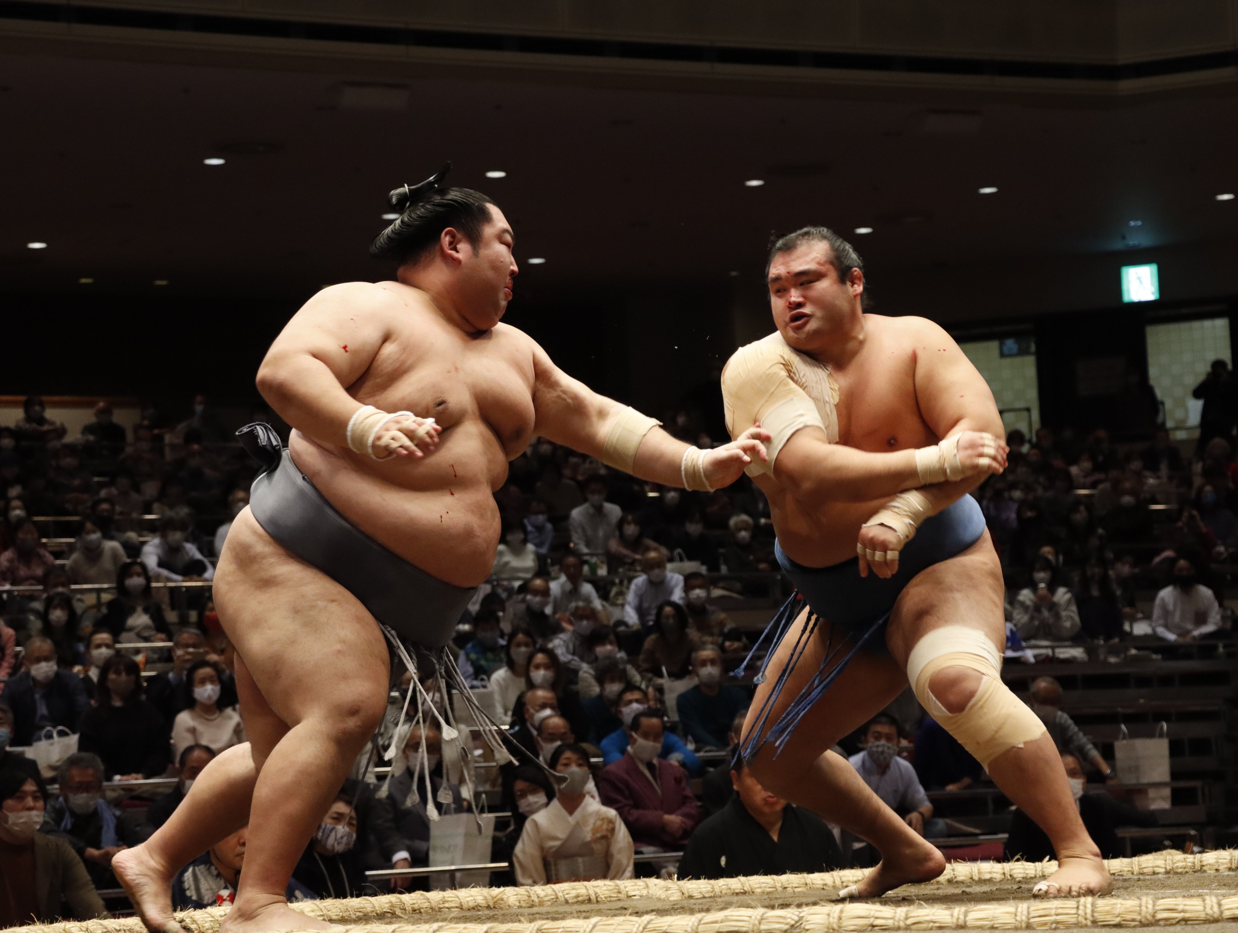 Сумо – жестокий спорт. Наш блогер объясняет почему – на примере одного сумоиста