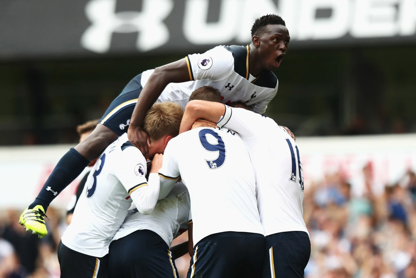 wanyama2