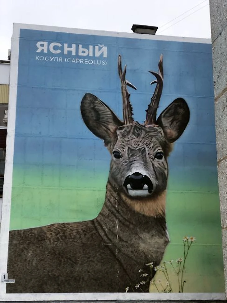 Город Ясный