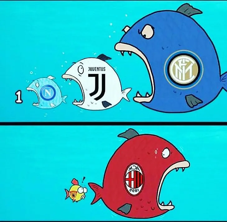 media