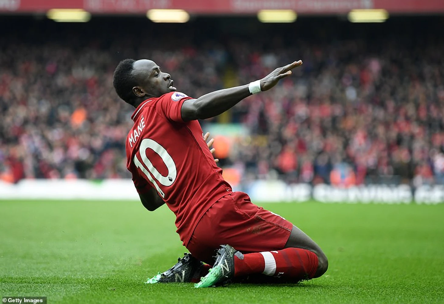 Mane