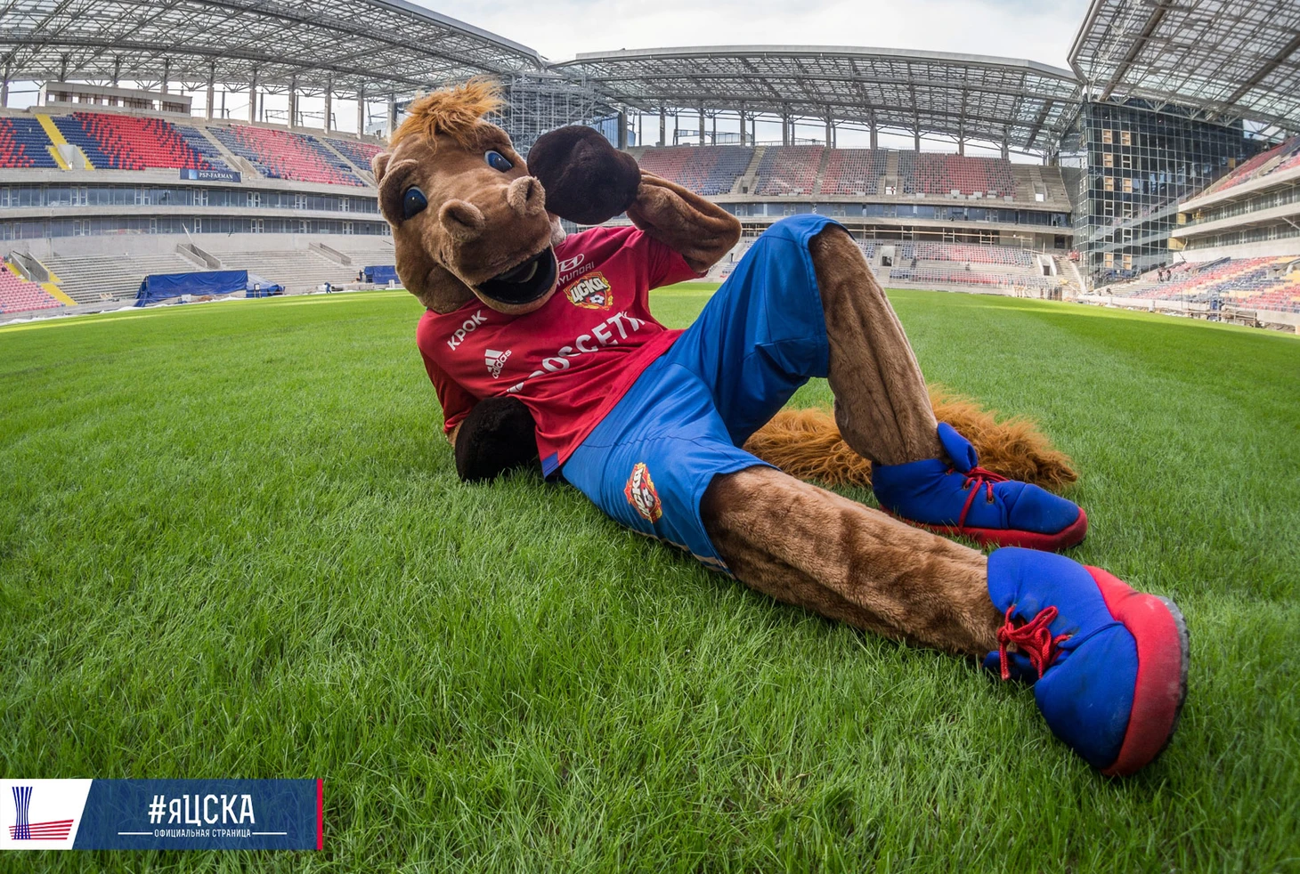 https://photobooth.cdn.sports.ru/preset/post/4/4e/47d0b25a2424391ebfafa9c16aed1.jpeg