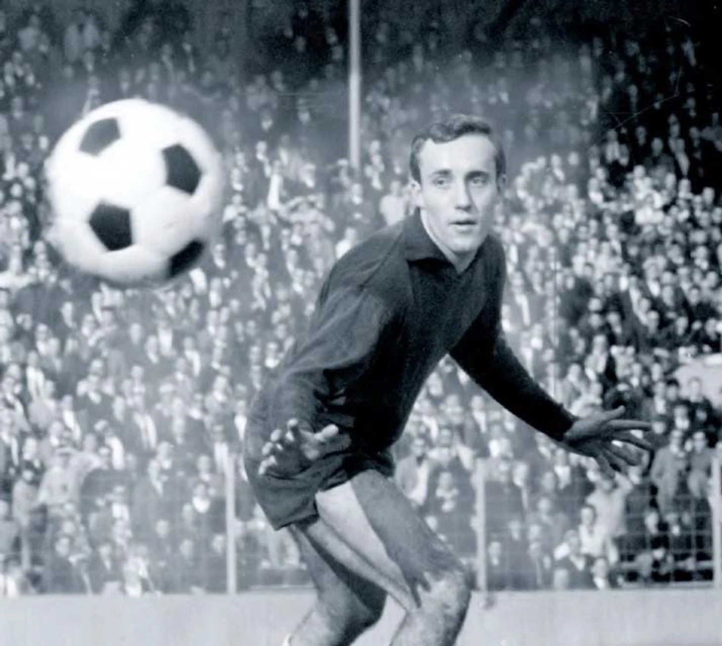 Хорст Вольтер