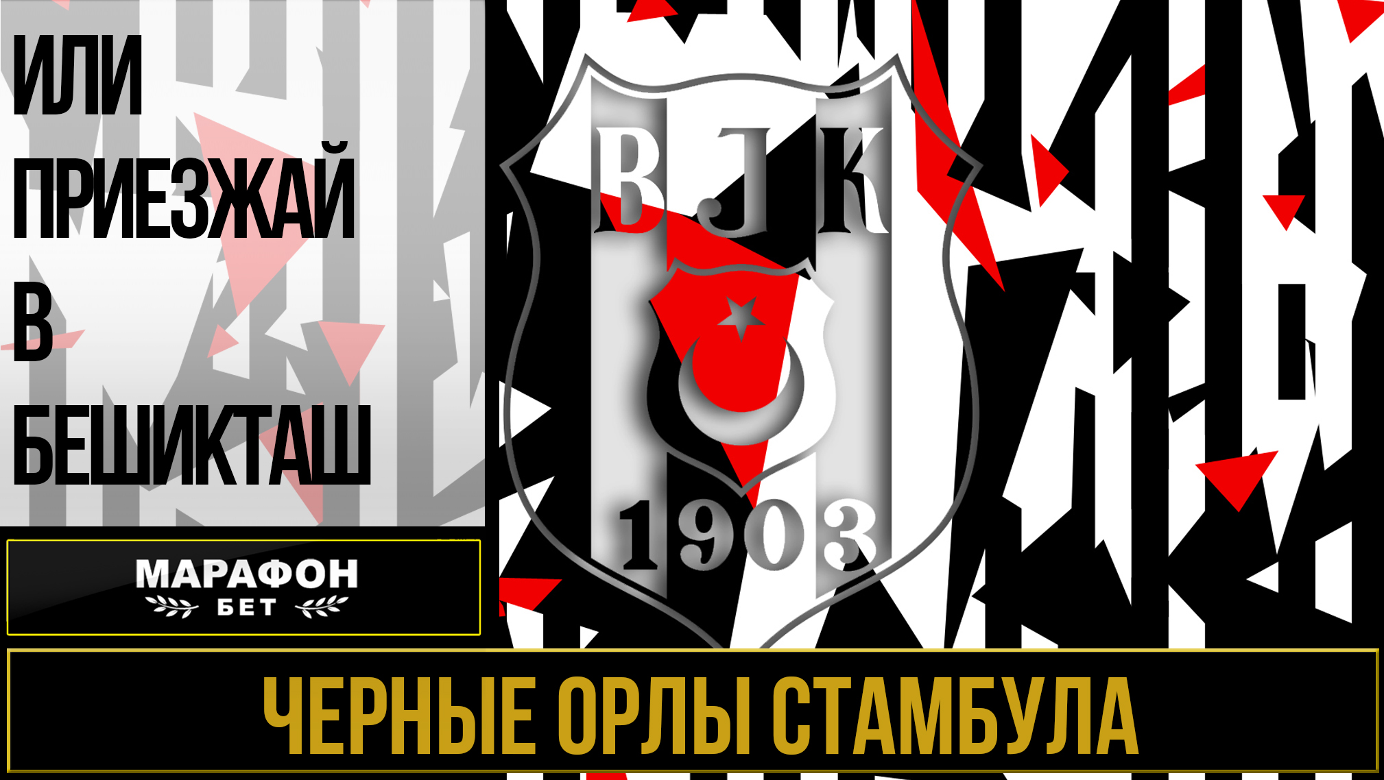 Черные орлы Стамбула / Документальный фильм