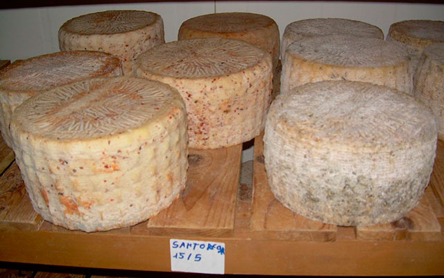 Ставки на спорт