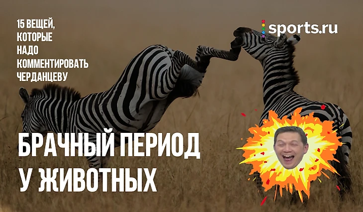 https://photobooth.cdn.sports.ru/preset/post/4/66/900c2e32741f79d6e265e89ee90f1.png