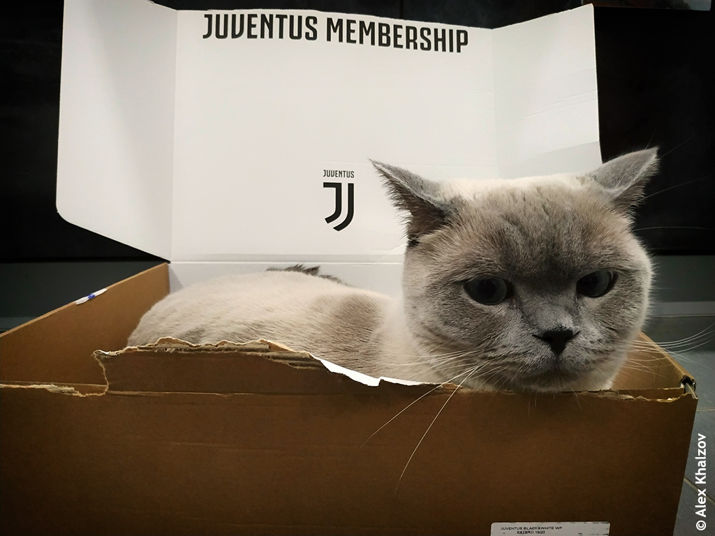 Juventus Membership