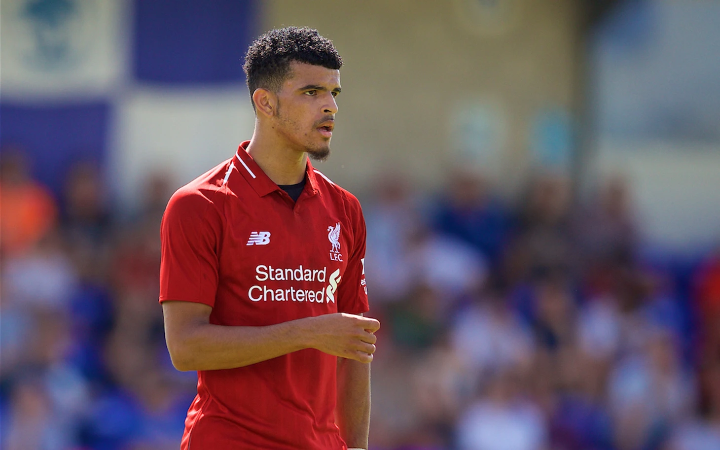 �а��инки по зап�о�� solanke liverpool