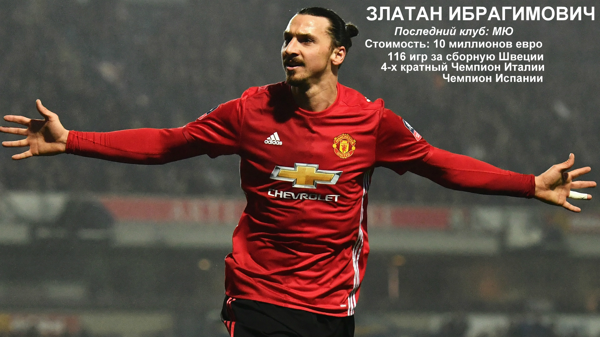 Ibra