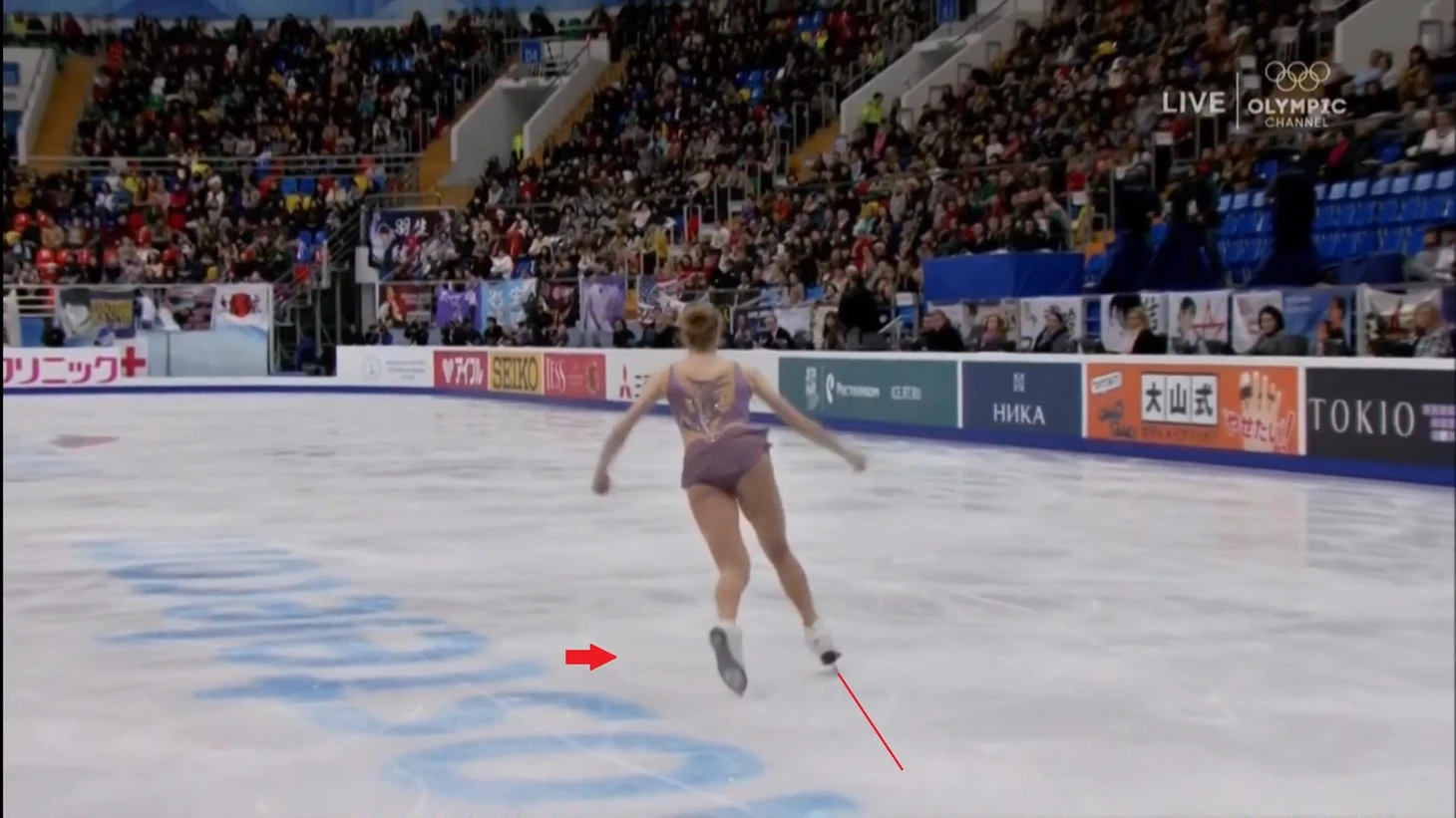 Каролина Костнер