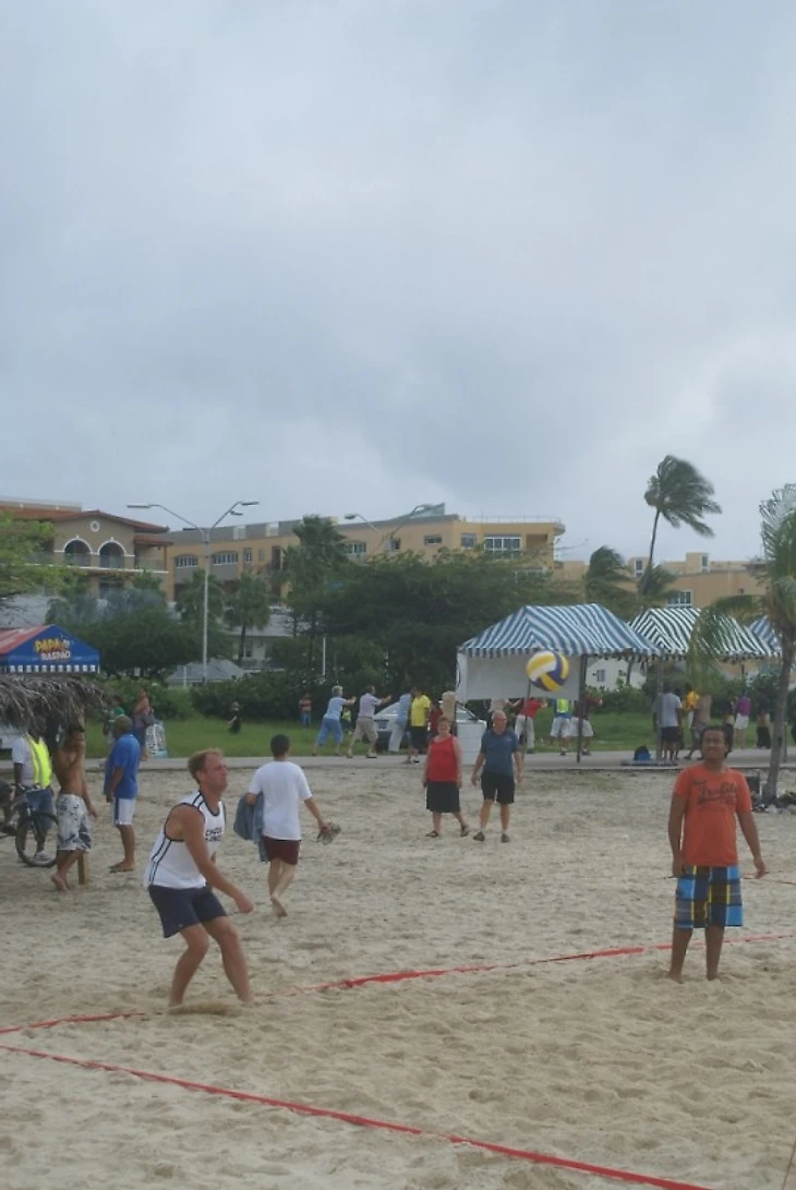 Играю в волейбол