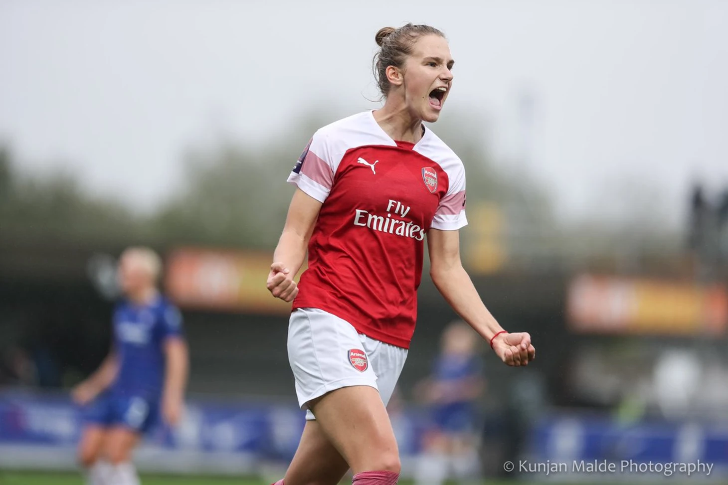 miedema1